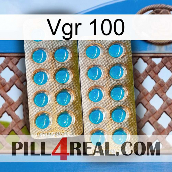 Vgr 100 new08.jpg